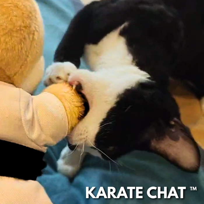 Le Karaté Chat™