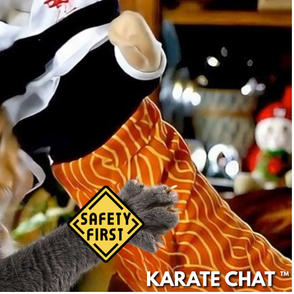 Le Karaté Chat™