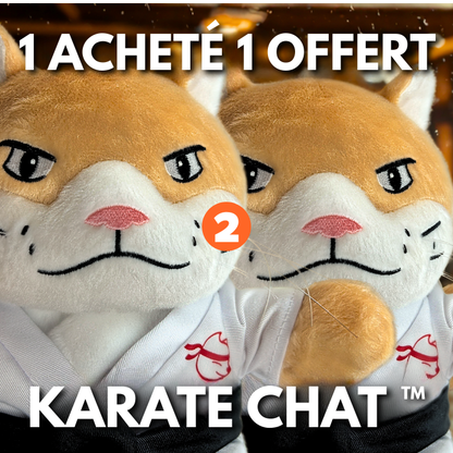 Le Karaté Chat™