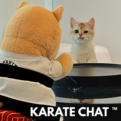 Le Karaté Chat™